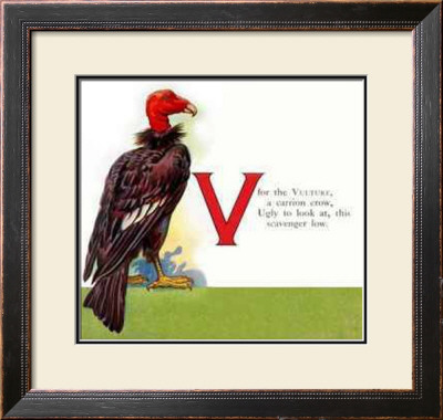 Vulture by William Stecher Pricing Limited Edition Print image