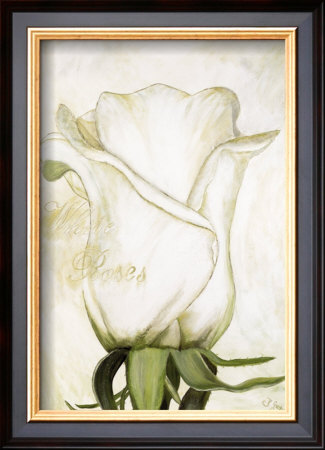 White Roses I by Heidi Gerstner Pricing Limited Edition Print image