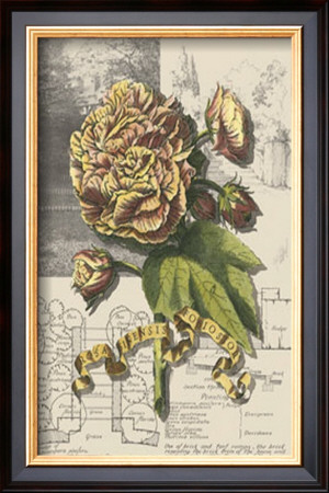 Garden In June Ii by Deborah Bookman Pricing Limited Edition Print image