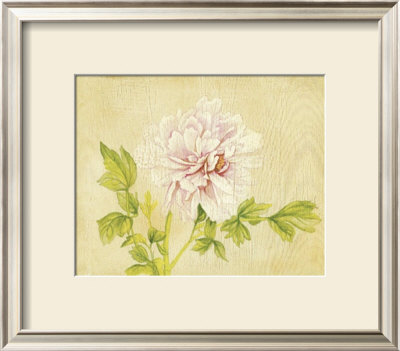 Pink Flower by David Col Pricing Limited Edition Print image