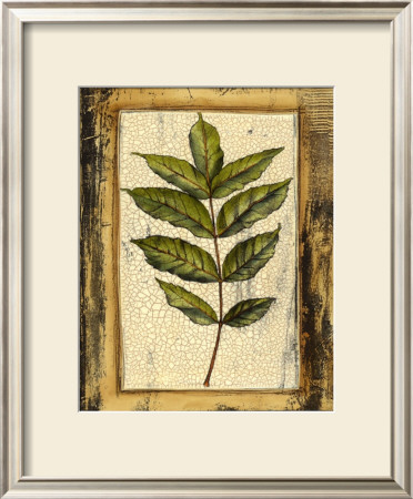 Spring Foliage Iv by Jennifer Goldberger Pricing Limited Edition Print image