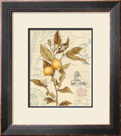 Artist's Lemons by Chad Barrett Pricing Limited Edition Print image