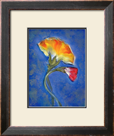 Carnation by Marcella Rose Pricing Limited Edition Print image