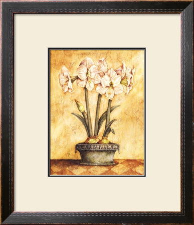 White Amaryllis by Tina Chaden Pricing Limited Edition Print image