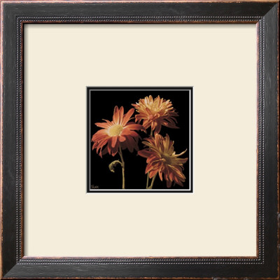 Crimson Mums by Katrina Craven Pricing Limited Edition Print image