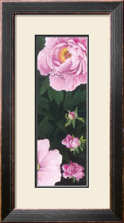 Time Of Flowering Ii by C. Meredith Pricing Limited Edition Print image