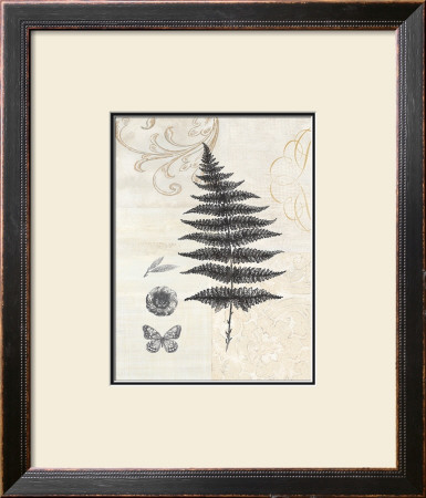 Classic Fern by Devon Ross Pricing Limited Edition Print image