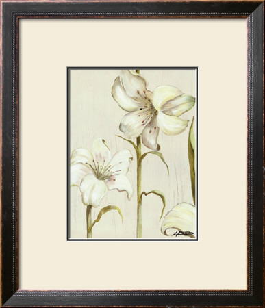 Flor Arlequin Ii by Luisa Romero Pricing Limited Edition Print image