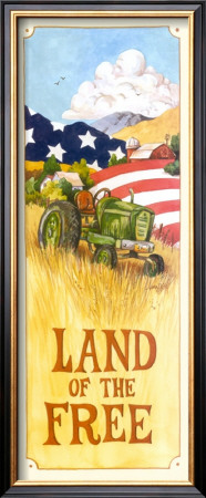 Land Of The Free by Jerianne Van Dijk Pricing Limited Edition Print image