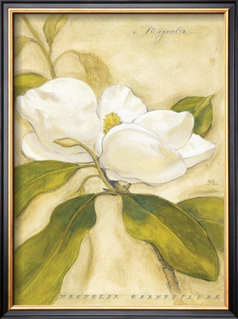 Magnolia by Meg Page Pricing Limited Edition Print image