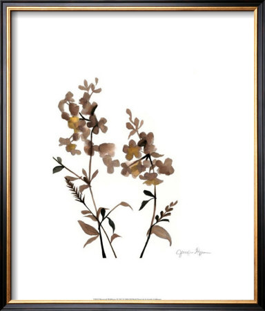 Watermark Wildflowers Iv by Jennifer Goldberger Pricing Limited Edition Print image