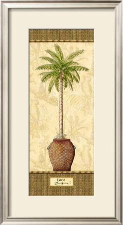 Botanical Palm Iii by Charlene Audrey Pricing Limited Edition Print image