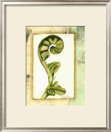 Fiddlehead Collage I by Jennifer Goldberger Pricing Limited Edition Print image