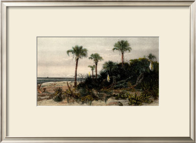 On The Coast by Harry Fenn Pricing Limited Edition Print image