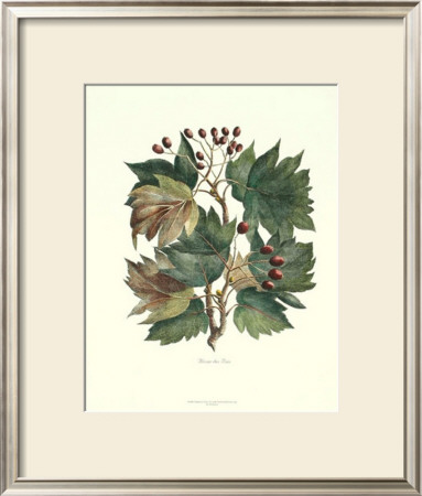 Deshayes Tree I by Deshayes Pricing Limited Edition Print image