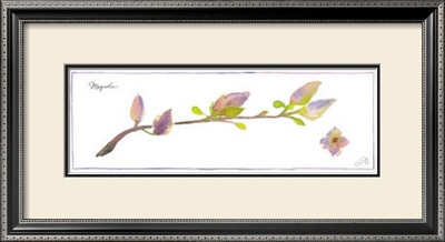Magnolia Branch by Robbin Gourley Pricing Limited Edition Print image