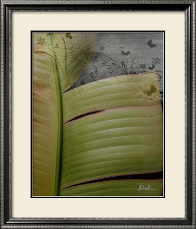 Butterfly Palm Ii by Patricia Quintero-Pinto Pricing Limited Edition Print image