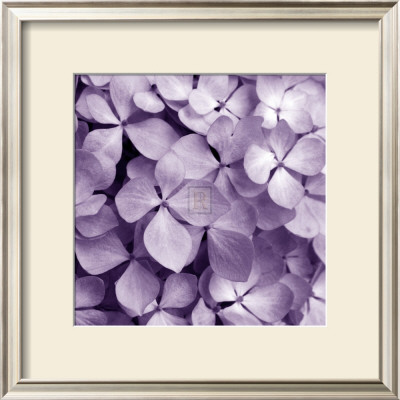 Bunch Of Flowers Iv by Tony Koukos Pricing Limited Edition Print image