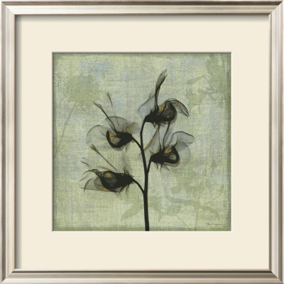 Flora Ii by Bert Meyers Pricing Limited Edition Print image