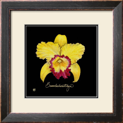 Vivid Orchid Vii by Ginny Joyner Pricing Limited Edition Print image