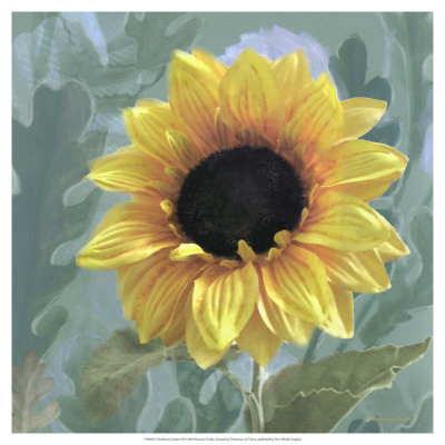 Sunflower Garden Ii by Francine Funke Pricing Limited Edition Print image
