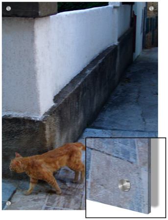 Orange Cat Walking Around The Corner Of A Wall by I.W. Pricing Limited Edition Print image