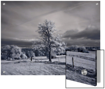 Rural Idyll by I.W. Pricing Limited Edition Print image