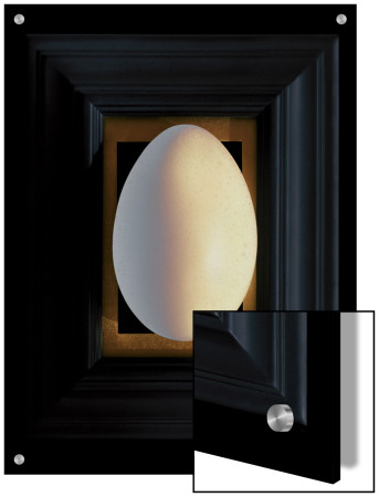 Large White Egg Centered On A Black Frame With Gold Leaf Mat by K.T. Pricing Limited Edition Print image