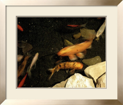 Goldfish Pond I by Alicia Ludwig Pricing Limited Edition Print image