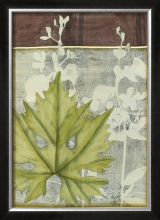 Leaf Medley Iv by Jennifer Goldberger Pricing Limited Edition Print image