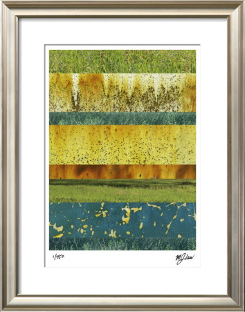 Abstraction In Nature Ii by M.J. Lew Pricing Limited Edition Print image