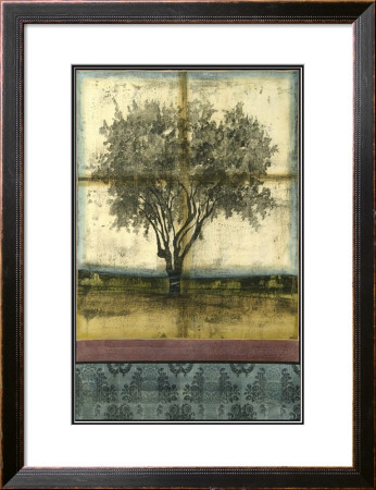 Lone Cypress Ii by Jennifer Goldberger Pricing Limited Edition Print image