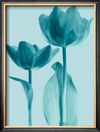 Classic Tulips Iv by Katja Marzahn Pricing Limited Edition Print image