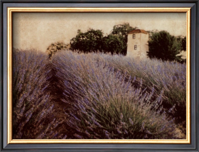 Lavender by Amy Melious Pricing Limited Edition Print image