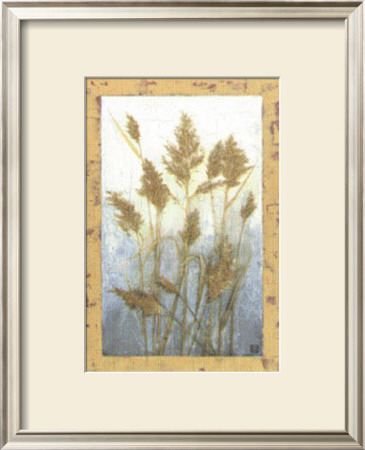 Plume Grasses by Tina Chaden Pricing Limited Edition Print image