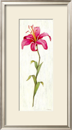 Orchid Ii by Urpina Pricing Limited Edition Print image