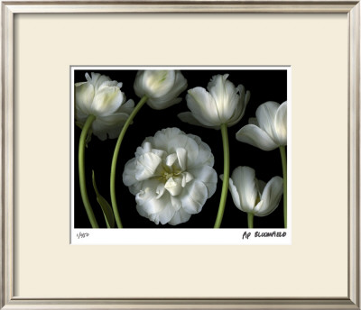 Tulip Garden by Pip Bloomfield Pricing Limited Edition Print image