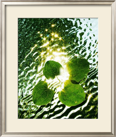 Floating Light by Leonard Morris Pricing Limited Edition Print image