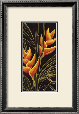 Heliconia by Yvette St. Amant Pricing Limited Edition Print image