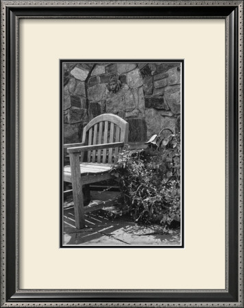 Garden Respite Ii by Laura Denardo Pricing Limited Edition Print image