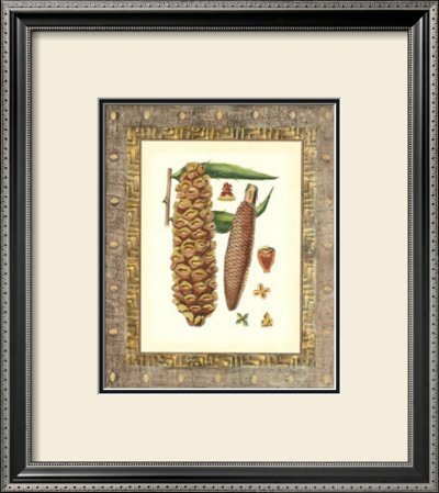Leather Framed Pine Cones Ii by Deborah Bookman Pricing Limited Edition Print image