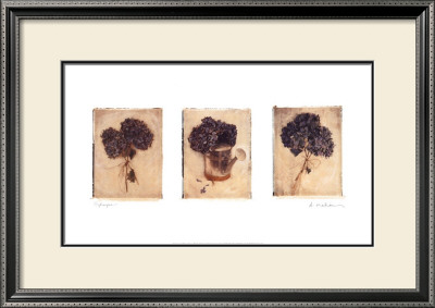Hydrangeas by Amy Melious Pricing Limited Edition Print image