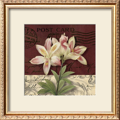 Postcard Lily by Kelly Donovan Pricing Limited Edition Print image