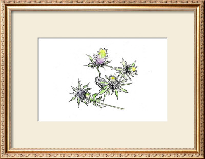 Thistles by Cal Hoy Pricing Limited Edition Print image