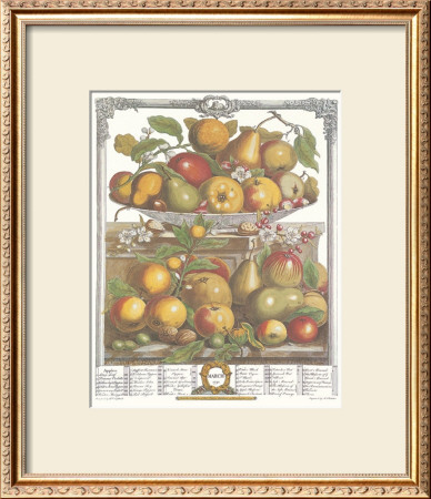 Twelve Months Of Fruits, 1732, March by Robert Furber Pricing Limited Edition Print image