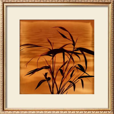 Bamboo Waves I by Thomas Kalwa Pricing Limited Edition Print image