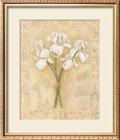 White Bearded Irises by Debra Lake Pricing Limited Edition Print image