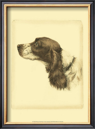 Danchin Cocker Spaniel by Danchin Pricing Limited Edition Print image
