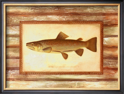 Brown Trout by Zachary Alexander Pricing Limited Edition Print image