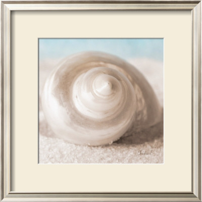 Treasures Of The Sea Ii by Christine E. Pricing Limited Edition Print image